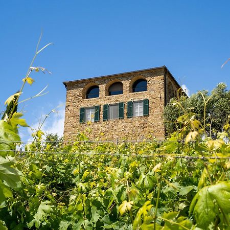 Terre Bianche Appartamenti Dolceacqua Eksteriør billede