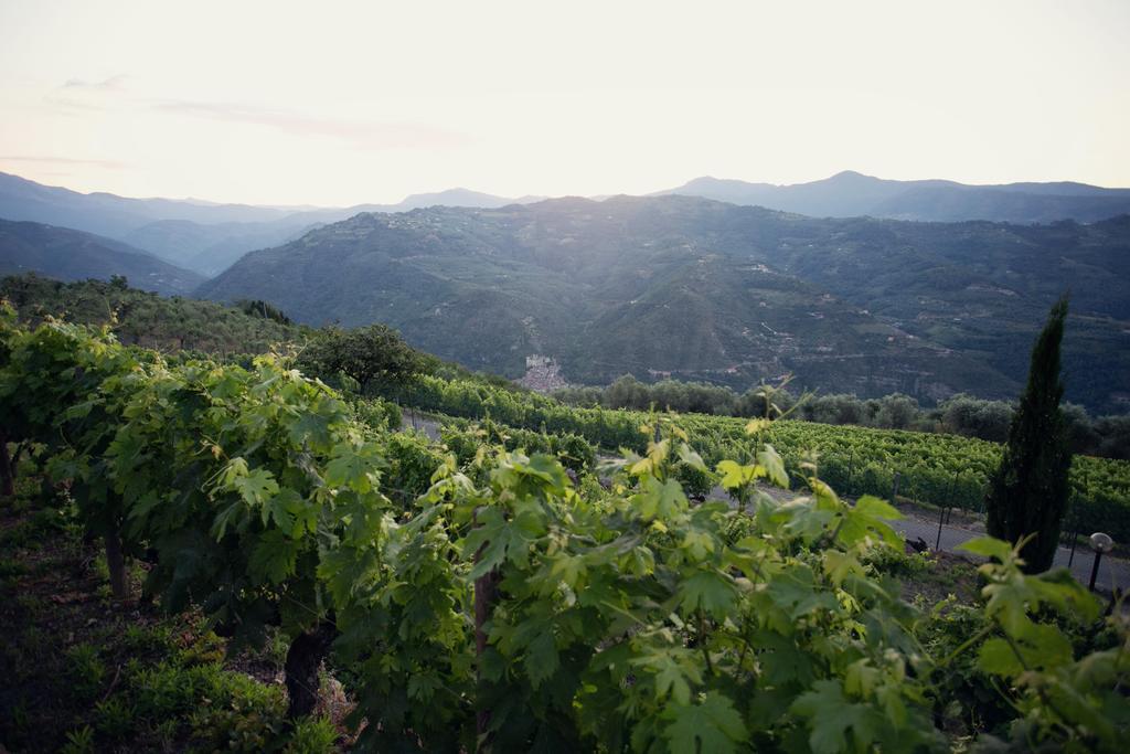 Terre Bianche Appartamenti Dolceacqua Eksteriør billede